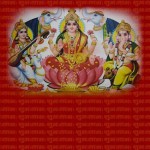 kutchinewyear